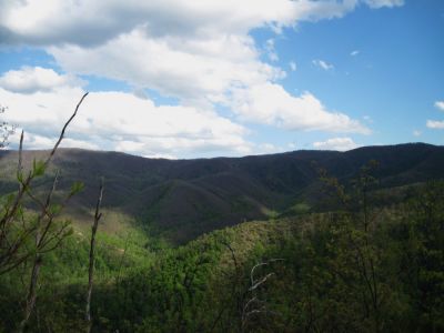 View from Sampson Mountain
Looking over top of Longarm Ridge into the Devil's Fork Valleys.
April, 2010
