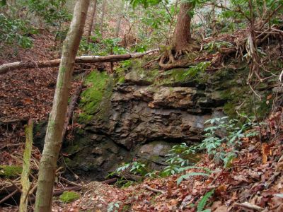 Rock Shelf on Longarm Ridge
Blurry photo of an interesting rock shelf in the slippery rock hollow on Longarm Ridge.
11-27-2011
