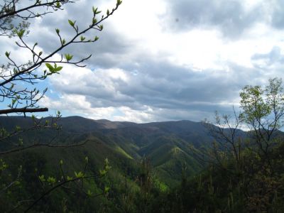 View from Sampson Mountain
Longarm and Chigger Ridges.
April, 2010
