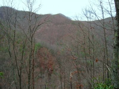 View From The Steep Rock Hollow On Longarm Ridge
Looking at a strange brown patch on Chigger Ridge, with one of the knobs on Sampson Mountain in the background.  
11-27-2011
