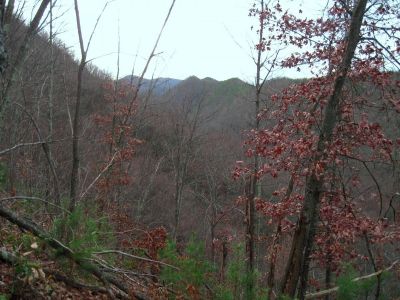 View From The Steep Rock Hollow On Longarm Ridge
Looking over at Chigger Ridge.
11-27-2011
