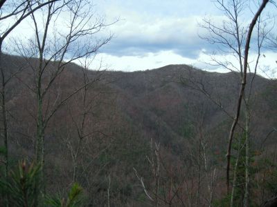 View From The Steep Rock Hollow On Longarm Ridge
Looking over at the big hollow on Sampson Mountain where 'Small Falls' are.
11-27-2011
