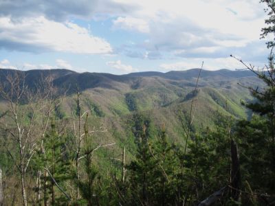 View from Sampson Mountain
Rich Mountain...
April, 2010
