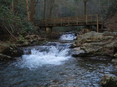 Cascades on Horse Creek
Near where Squibb Creek flows into Horse Creek.
12-3-2011 
