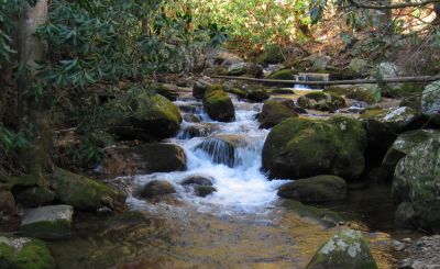 Cascades on Horse Creek
Horse Creek
12-3-2011 
