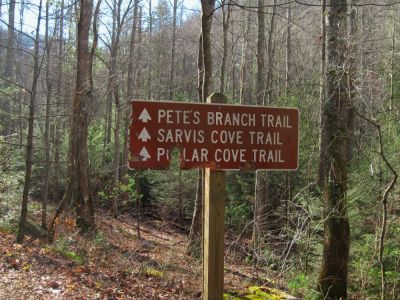 Sign
...Where we got caught in the middle of a bear hunt.
Horse Creek
12-3-2011 
