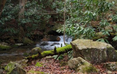 Cascades on Horse Creek
Horse Creek
12-3-2011 
