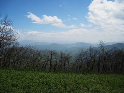 View From Beauty Spot
May, 2010
