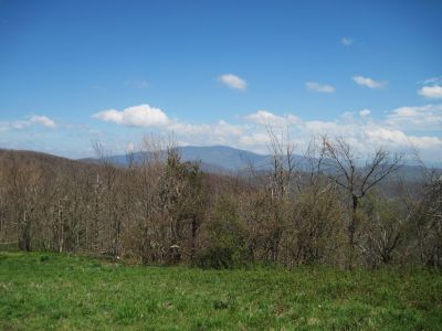View From Beauty Spot
Roan Mountain in the distance...
May, 2010
