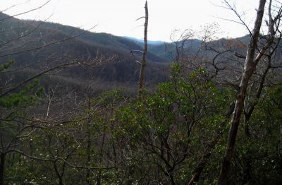 View From Middle Spring Ridge Trail
Looking over the Horse Cfreek Valley, Blackstack Cliffs way out in the distance.
12-3-2011
