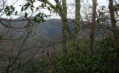View From Turkey Pen Cove Trail
Cliffs at head of Cassi Creek, on Rich Mountain.
12-3-2011
