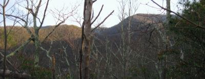 View From Turkey Pen Cove Trail
Looking toward Coldspring Mountain/'Big Butte'.
12-3-2011
