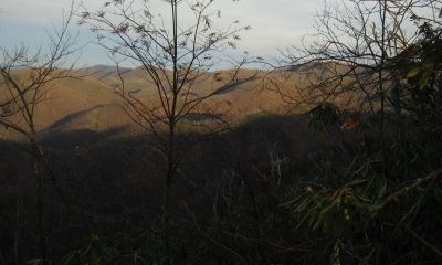 View From Turkey Pen Cove Trail
Looking out over Cassi Creek, Painter Creek, and Sampson Mountain.  Rich Mountain in the distance.
12-3-2011
