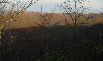 View From Turkey Pen Cove Trail
Looking out over Cassi Creek, Painter Creek, and Sampson Mountain.  Rich Mountain in the distance.
12-3-2011
