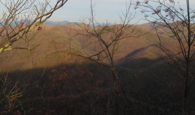 View From Turkey Pen Cove Trail
Looking out over Cassi Creek, Painter Creek, and Sampson Mountain.  Rich Mountain in the distance.
12-3-2011
