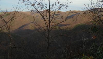 View From Turkey Pen Cove Trail
Looking out over Cassi Creek, Painter Creek, and Sampson Mountain.  Rich Mountain in the distance.
12-3-2011
