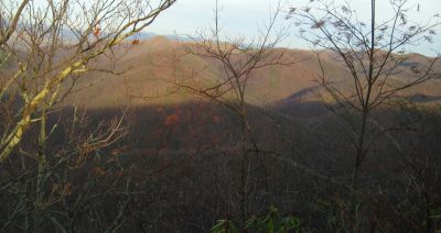 View From Turkey Pen Cove Trail
Looking out over Cassi Creek, Painter Creek, and Sampson Mountain.
12-3-2011
