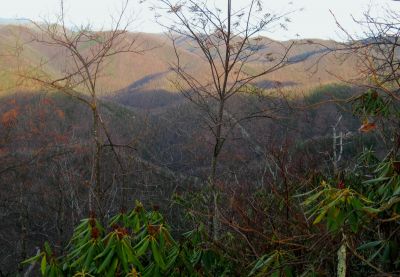 View From Turkey Pen Cove Trail
Looking out over Cassi Creek, Painter Creek, and Sampson Mountain.  Rich Mountain in the distance.
12-3-2011

