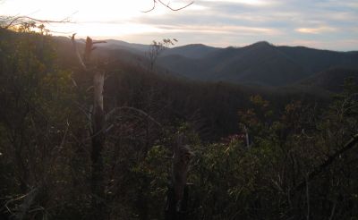 View From Turkey Pen Cove
12-3-2011
