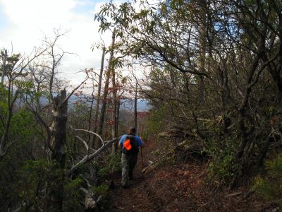 Turkey Pen Cove Trail
Rat hikes down the cove trail.
12-3-2011
