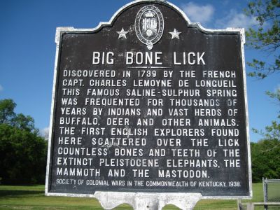 Big Bone Lick Sign
...in northern Kentucky.
May, 2010
