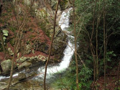 Devils Creek Falls
Twin Falls,
December, 10, 2011
