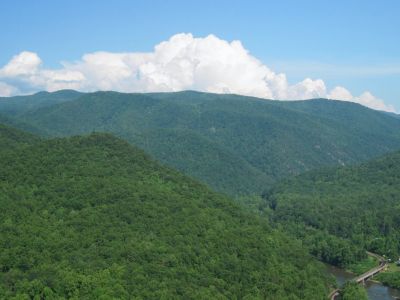 Unaka Springs
May, 2010
