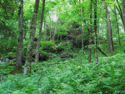 Unaka Mountain Bluff
June, 2010
