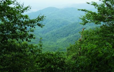 View from the Unaka Ridgeline
Horse Creek Valley...
June, 2010
