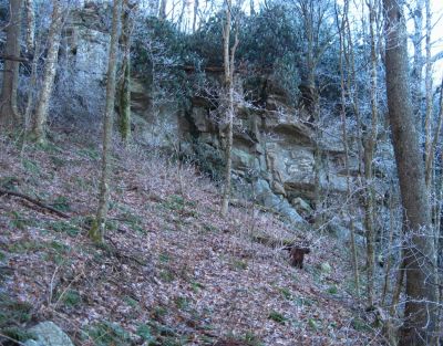 Cliffs
Middle Spring Ridge Trail,
December 17, 2011
