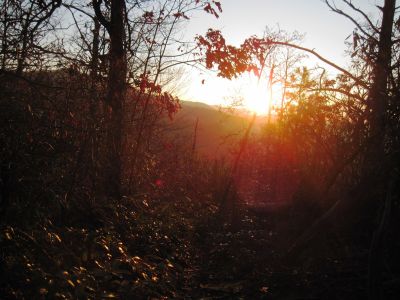 View From Middle Spring Ridge
Middle Spring Ridge Trail,
December 17, 2011
