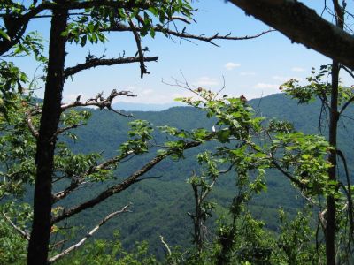 View to South
From a prominent knob on the Tennessee/North Carolina State Line.  Visible over the Flattop Mountain Ridge is the Bald Mountain Chain, including, Little, Bald, Big Bald, and the Hogback Ridges.  June, 2010
