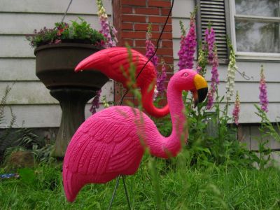 Yard Flamingos
Trail Days,
May, 2017

