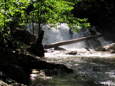Kelly Falls
Paint Creek Corridor,
2013
