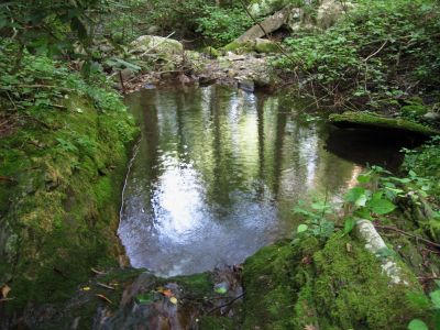 Reflecting Pool
Sampson Wilderness
August, 2010
