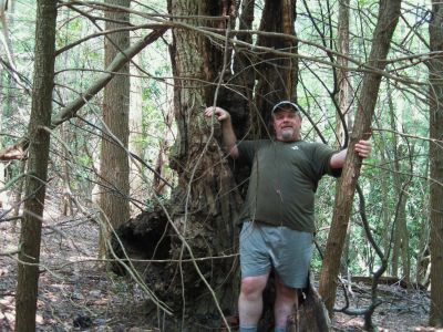 Ripped and Torn
To give perspective, 'Rat Patrol' is standing in front.
Unaka Mountain
August, 2010
