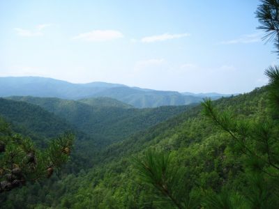 View from Jones Branch Overlook
August, 2010
