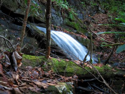 Cascade
Part of the 'Phantom Trace' series of waterfalls on Unaka Mountain, 11-14-2015
