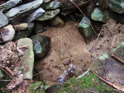 Spring
...near the Jones Branch Overlook.
August, 2010
