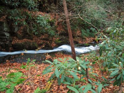 Rock Cascade
Part of the 'Phantom Trace' series of waterfalls on Unaka Mountain, 11-14-2015
