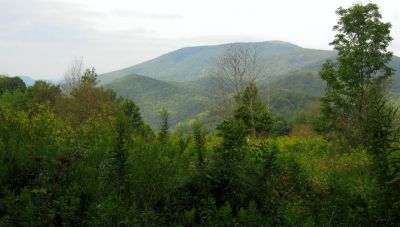 View From Camp
Meadows Camp,
Rat's Birthday Hike, 2013
Evening, Day 1

