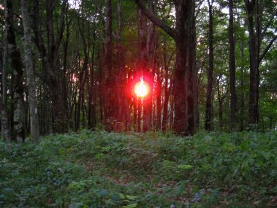 Sunset
Meadows Camp,
Rat's Birthday Hike, 2013
Evening, Day 1
