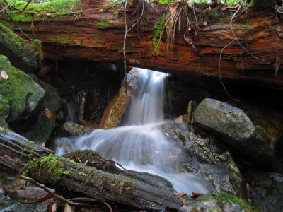 Small Cascade
Above the Upper Slot Canyon Falls.

11-21-2015
