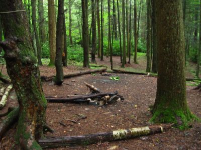 Spivey Gap
Camp spot.
August, 2010
