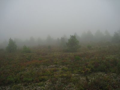 View From Camp
Big Bald Meadows
Rat's Birthday Hike, 2013
Evening, Day 2
