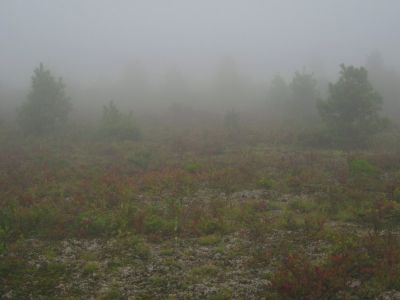 View From Camp
Big Bald Meadows
Rat's Birthday Hike, 2013
Evening, Day 2
