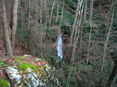 'Diane's Falls'
Diane's Falls, as seen from the rock cliff
11-21-2015
