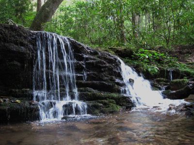 Cascades on Clear Branch
Unaka Mountain,
August, 2010
