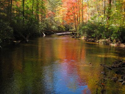 Autumn Scenery
2017
