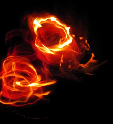 Fire Roses
Rat's Birthday Hike, 2013
Evening, Day 3
